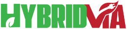 Hybridvia